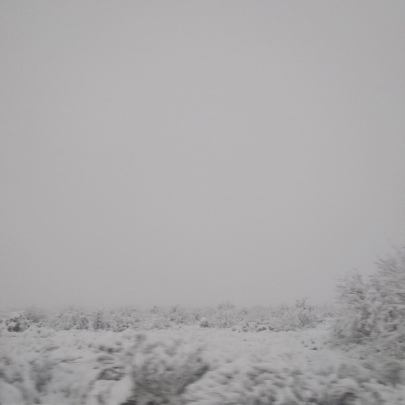 Meet your seller :) - Picture 2 of 4